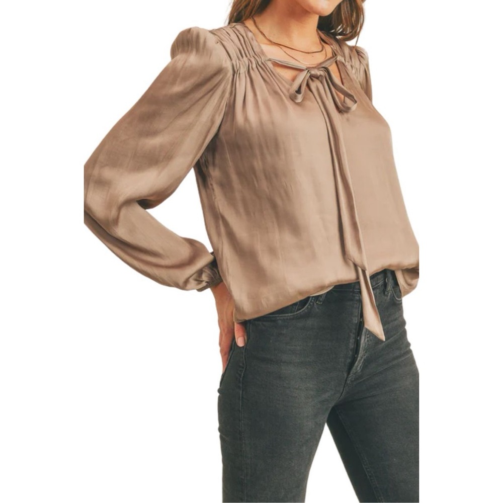 RESET BY JANE L /S Tie Blouse in Mocha
